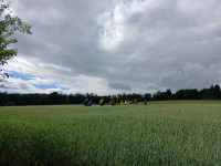 /album/2025/dorfwanderung-in-die-weisbach-7-jpg/